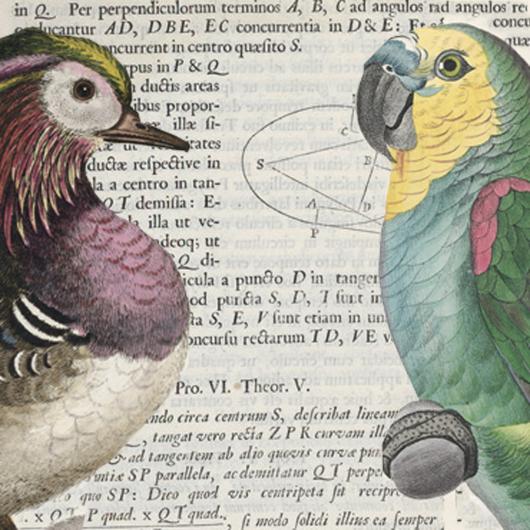 Wissenschaften, Natur, Technik