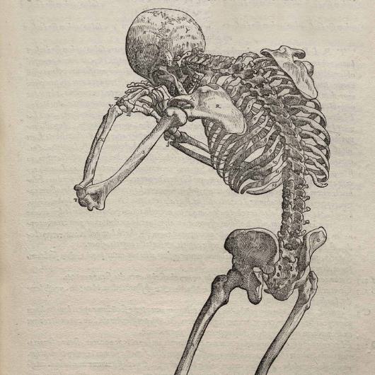 Medizin, Anatonie, Pharmazie