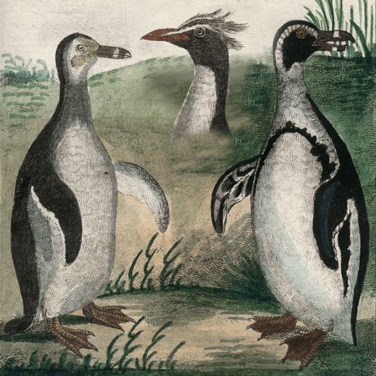 Tierbücher, Jagd, Fischfang, Pferde