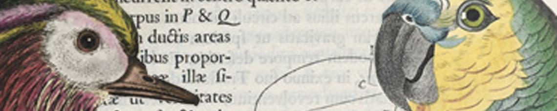 Wissenschaften, Natur, Technik