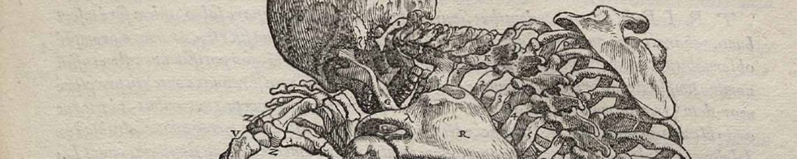 Medizin, Anatonie, Pharmazie