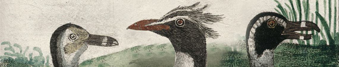 Tierbücher, Jagd, Fischfang, Pferde