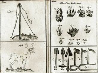 Die Jagdlust oder die hohe und niedere Jagd 