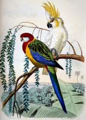 Le jardin des plantes 