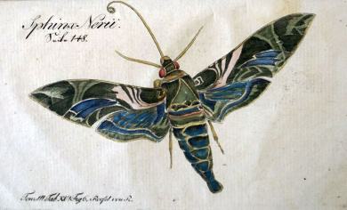 Vollständiges Hülfsbuch für Schmetterlingssammler, 
Erste Ausgabe. Enthält das "Wissenswürdigste aus der Naturgeschichte aller deutschen Schmetterlinge, Raupen und Puppen, über die systematische Eintheilung, Behandlung und Aufbewahrung derselben, nebst e 