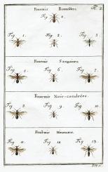 Recherches sur les moeurs des fourmis indigènes 