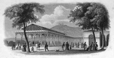 Die Heilquellen und Bäder zu Kissingen für Kurgäste 