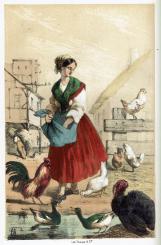 Histoire naturelle pour la jeunesse 