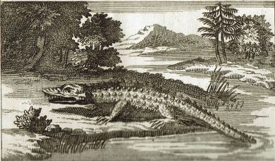 Histoire De La Découverte Et De La Conquête Du Pérou 