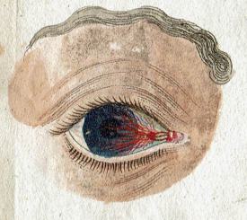 Praktische Beobachtungen über verschiedene, vorzüglich aber über jene Augenkrankheiten, welche aus allgemeinen Krankheiten des Körpers entspringen, oder öfters mit denselben verbunden sind 