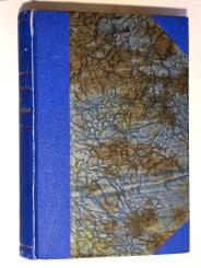 Das graue Kloster in Berlin, mit seinen alten Denkmälern 