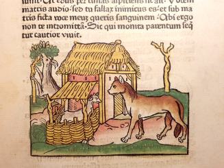 Vita et fabulae. Der Ulmer Aesop von 1476/77 