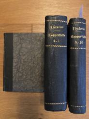 Lebensgeschichte und Erfahrungen David Copperfield's des Jüngeren von Boz 