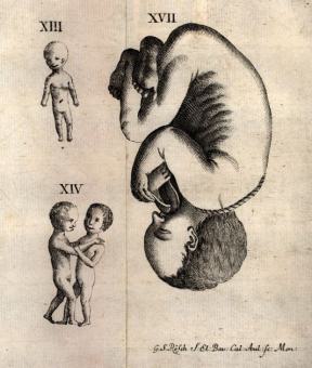 Embryologia sacra de officio sacerdotum medicorum 
